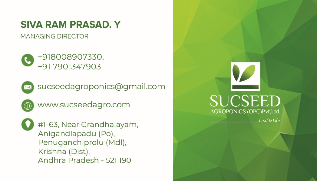 Sucseed_Visiting-Card-BS